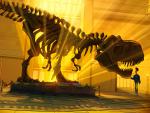 nightatthemuseum_01