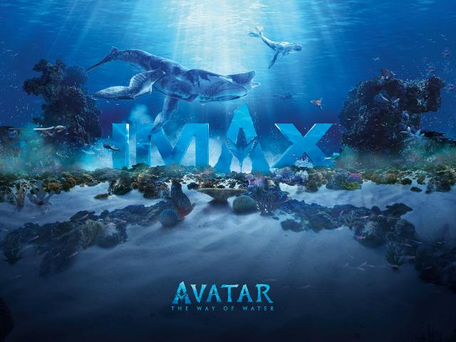 avatar_16