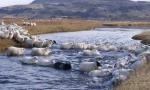 iceland_17