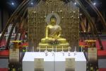 visakhakorat_124