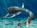 ocean-life-824