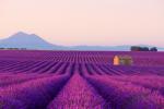 France_221