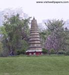 shenzhen_027