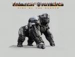 transformers176