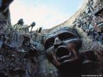 the_mummy243