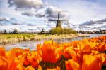 Windmill_25