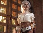 the_witcher3_29