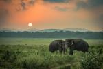 Sunset_556