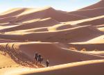 Desert_102