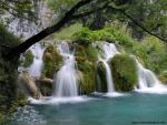 Parks_152
