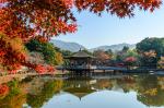 Japan_145