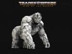 transformers253