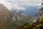jurassic_world_20