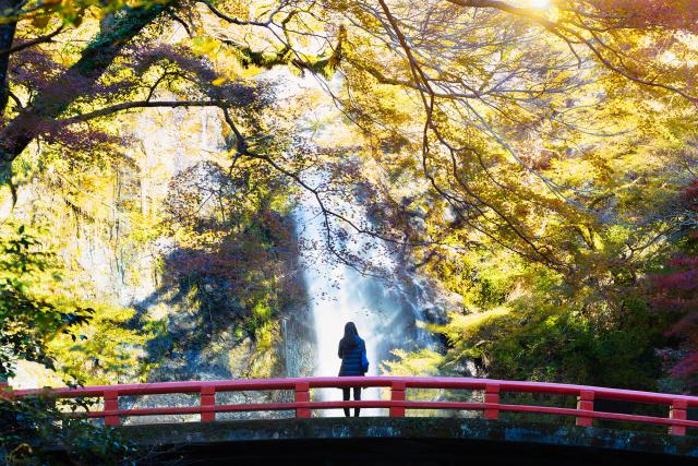 Japan_176