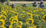tour_de_france_07