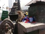 nepal_047