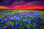 Sunset_912