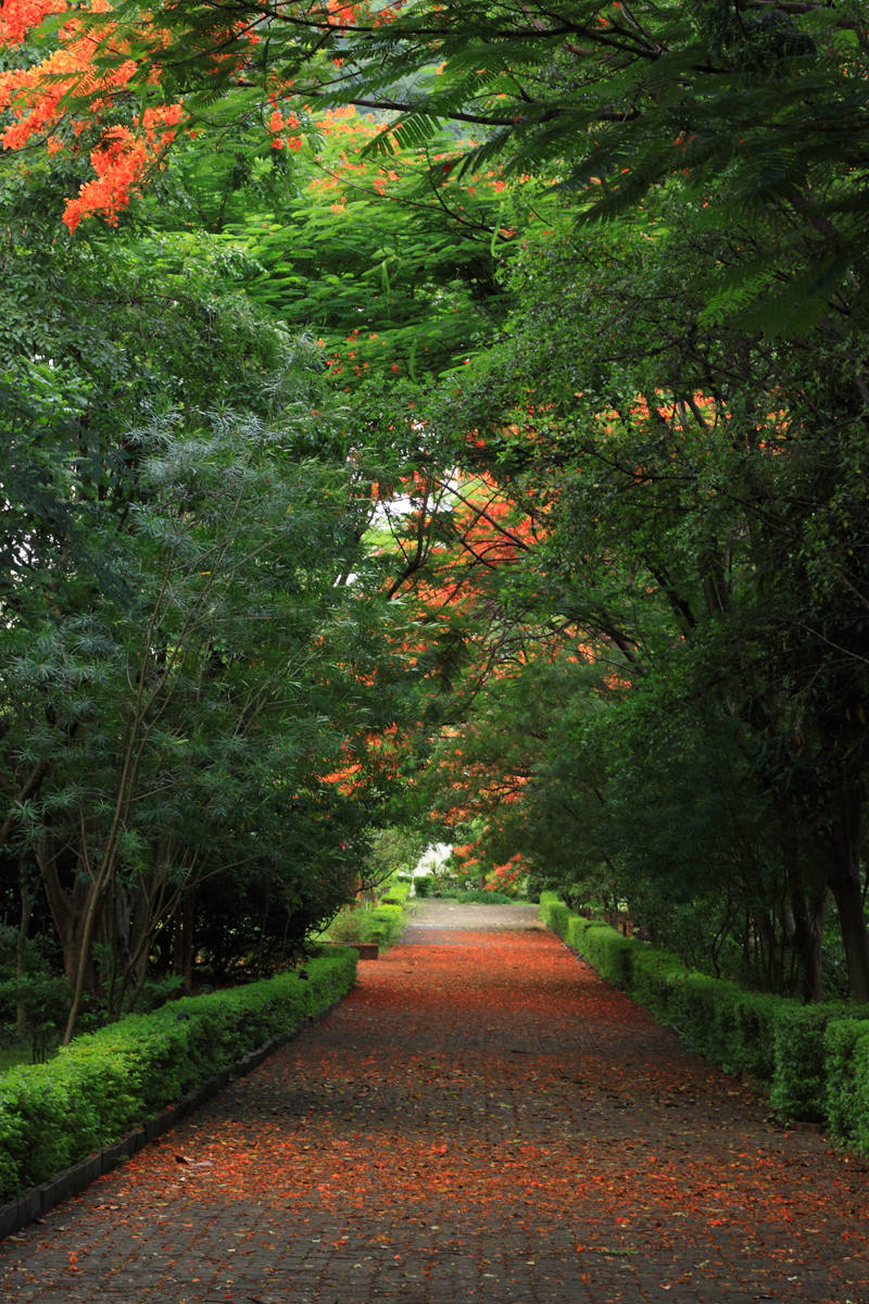 taitong_076