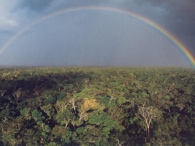 Aerial_view_036