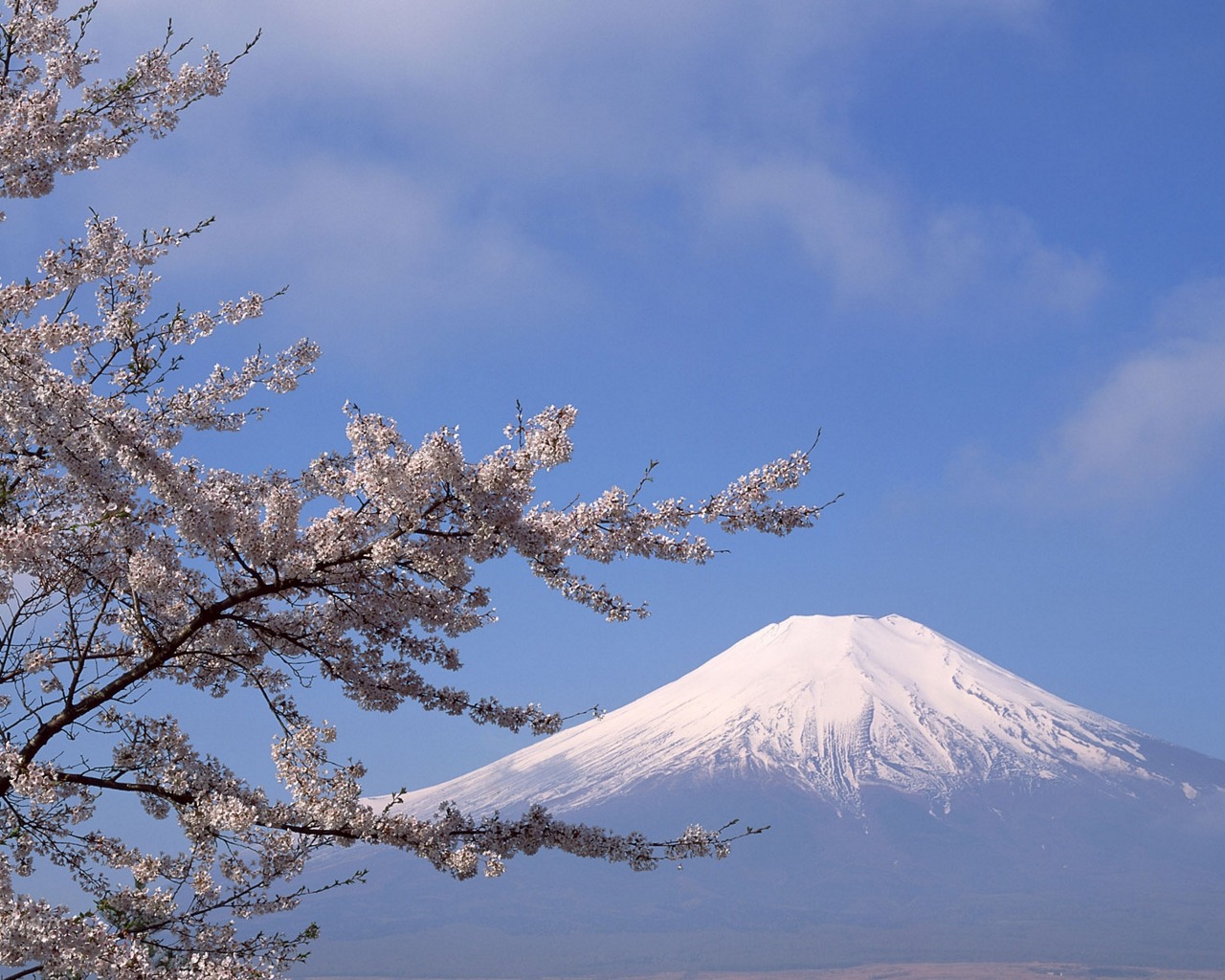 Japan_080