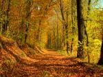 tree_281