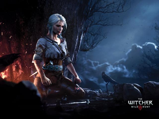 the_witcher3_08