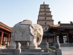 china_395