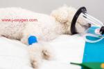 jakawal_oxygen_018