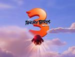 The_Angry_Birds_19