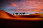 Desert_91