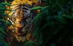 the_jungle_book_16