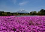 Japan_271