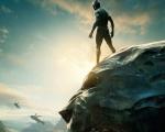 black_panther_08