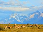 south_america_047