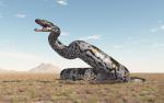 Animals_827