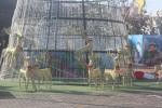 thailand_040