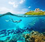 ocean-life-754