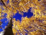 Aspen_Skyline