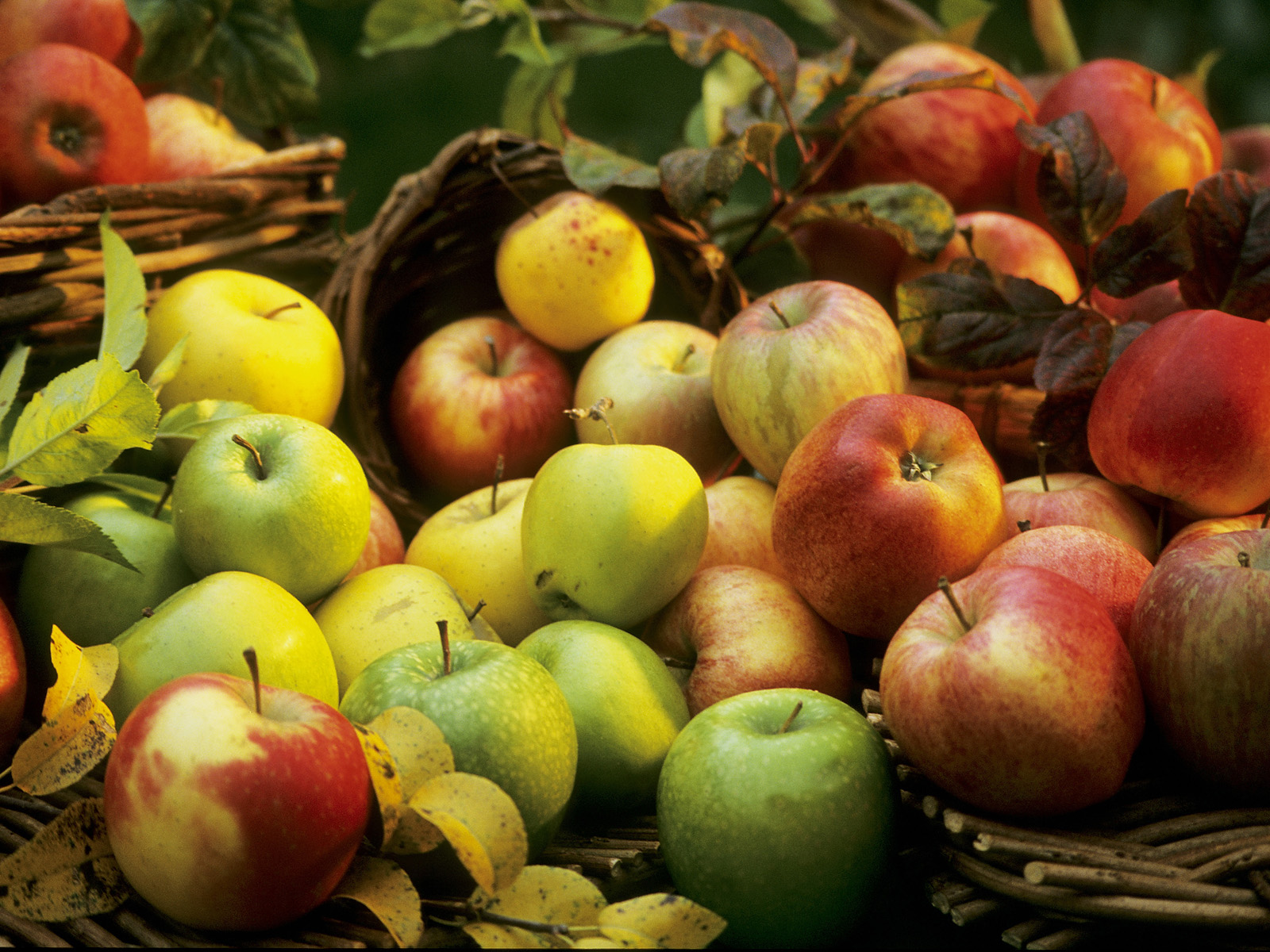 Assorted_Apples