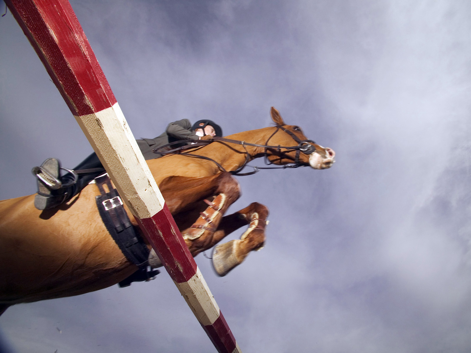 Show_Jumper