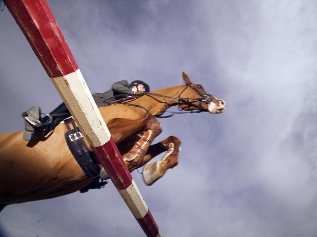 Show_Jumper