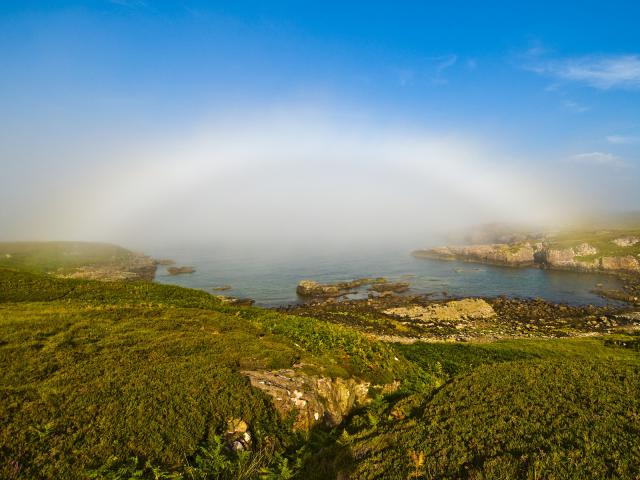 Fogbow_Along_Scottish