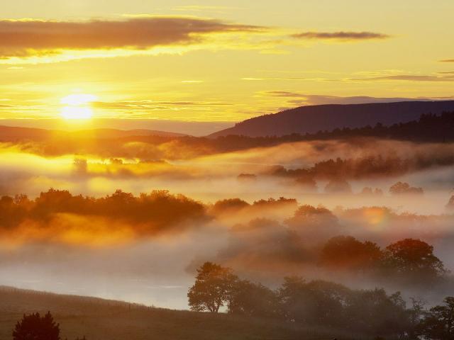 Low_Lying_Mist
