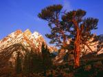 Old_Patriarch_Teton