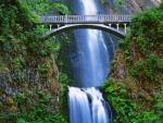 Multnomah_Falls