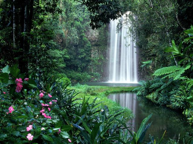 Millaa_Falls