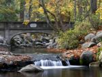 Lithia_Park_Bridge