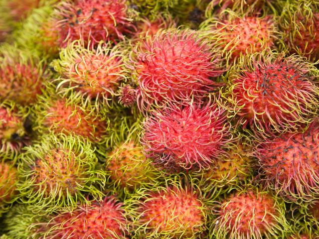 Rambutan_Central