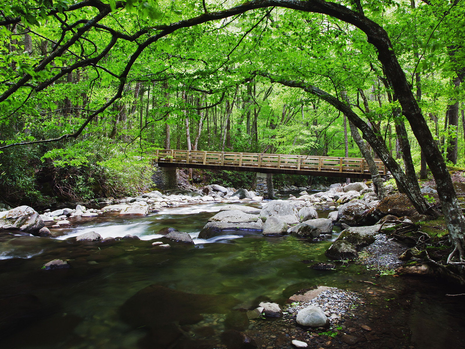 Bridge_Over_Creek