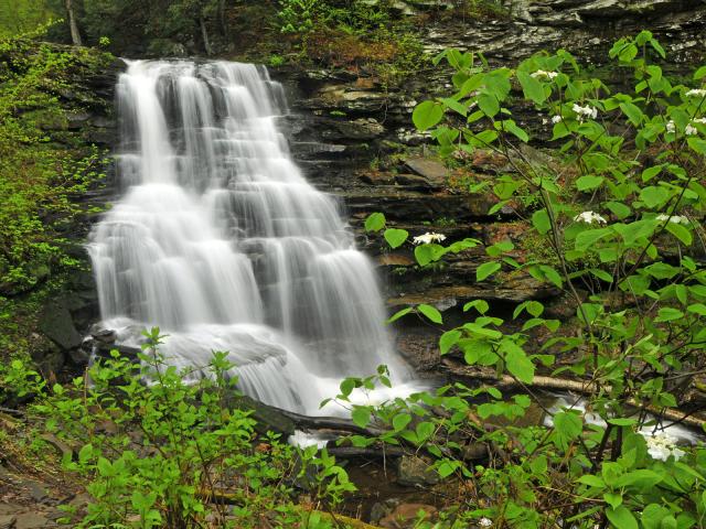 Erie_Falls